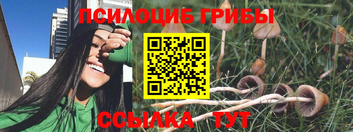 Псилоцибиновые грибы Psilocybine cubensis Нижнекамск