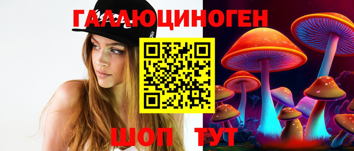 Нижнекамск  Галлюциногенные грибы Cubensis  Псилоцибиновые грибы GOLDEN TEACHER  Вход с VPN 